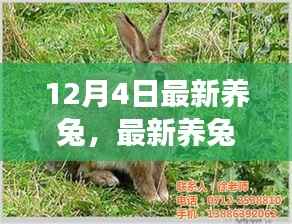 最新养兔指南,掌握技巧,开启温馨养兔之旅