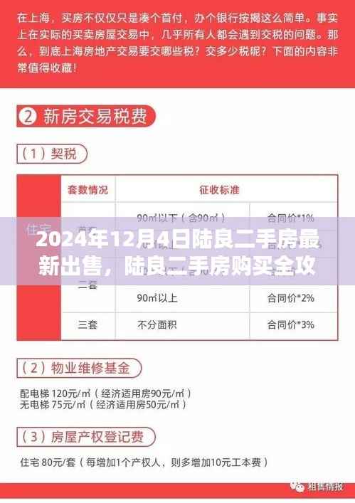 陆良二手房最新出售与购买全攻略，最新操作指南（2024年12月4日）