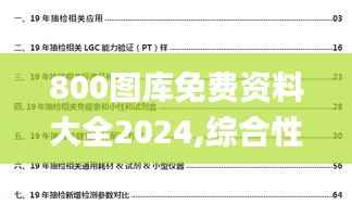 800图库免费资料大全2024,综合性计划定义评估_kit10.149