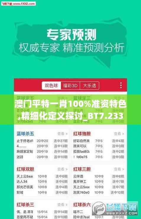 澳门平特一肖100%准资特色,精细化定义探讨_BT7.233