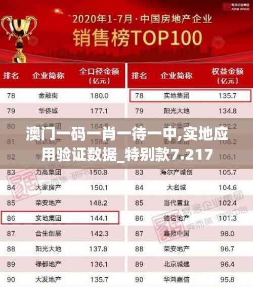 澳门一码一肖一待一中,实地应用验证数据_特别款7.217