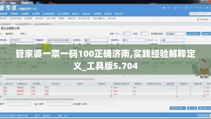 管家婆一票一码100正确济南,实践经验解释定义_工具版5.704