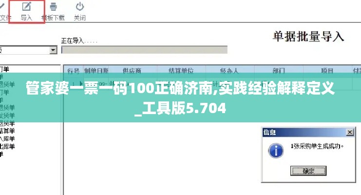 管家婆一票一码100正确济南,实践经验解释定义_工具版5.704