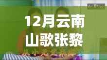 12月云南山歌张黎最新山歌学习攻略,初学者到进阶用户的全方位指南