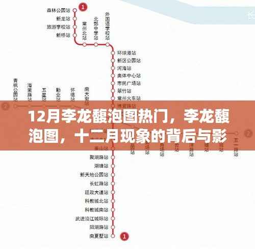 揭秘李龙馥泡图背后的十二月现象,影响与热议