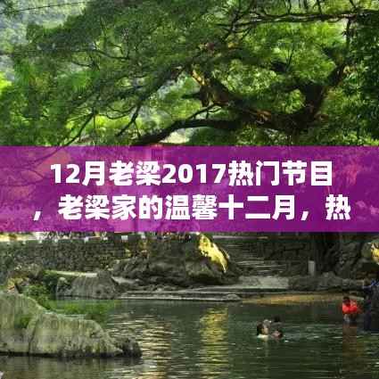 老梁家的温馨十二月,热门节目里的欢乐时光