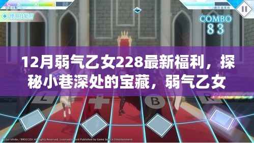 揭秘弱气乙女228的独家福利,12月小巷深处的宝藏大解密!