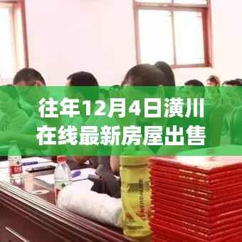 历年12月4日潢川在线房屋市场全新篇章,最新房源出售汇总