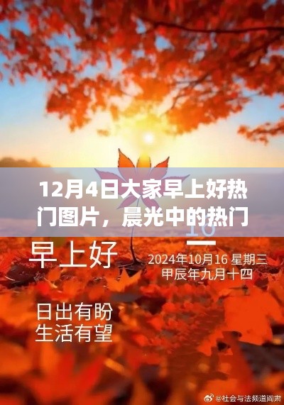 晨光中的瞩目瞬间,12月4日热门图片印记
