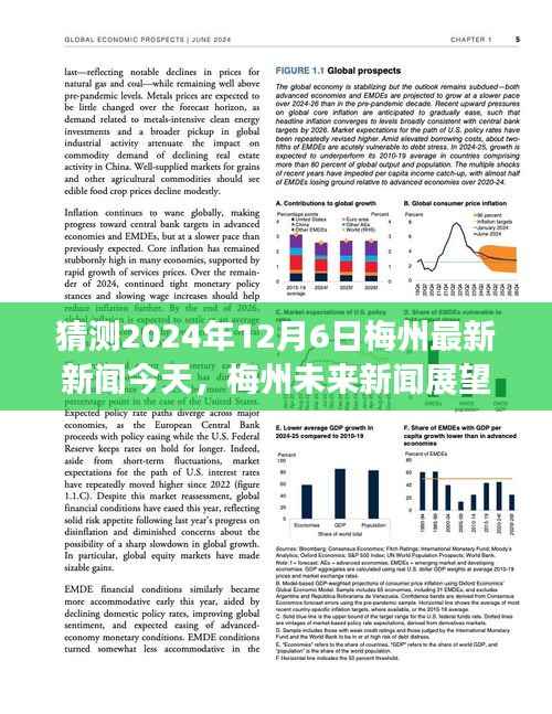 猜测2024年12月6日梅州最新新闻今天,梅州未来新闻展望,2024年12月6日的新闻预测与观点分析
