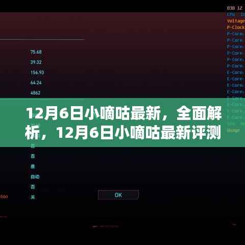12月6日小嘀咕最新评测与介绍，全面解析