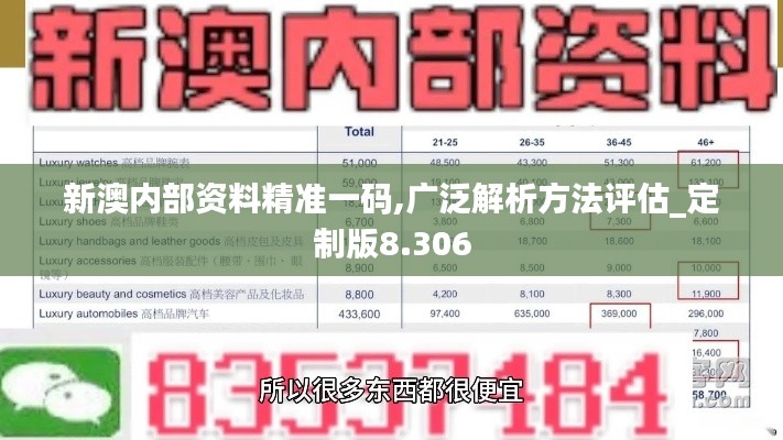 新澳内部资料精准一码,广泛解析方法评估_定制版8.306