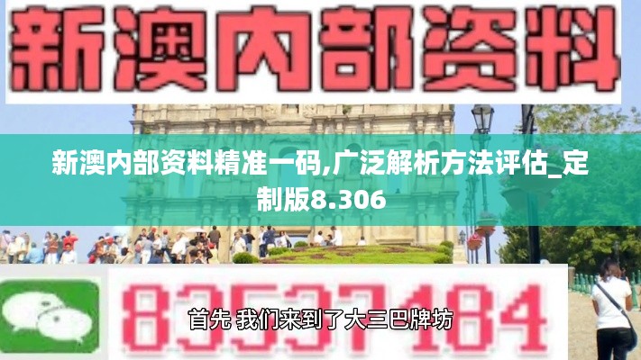 新澳内部资料精准一码,广泛解析方法评估_定制版8.306