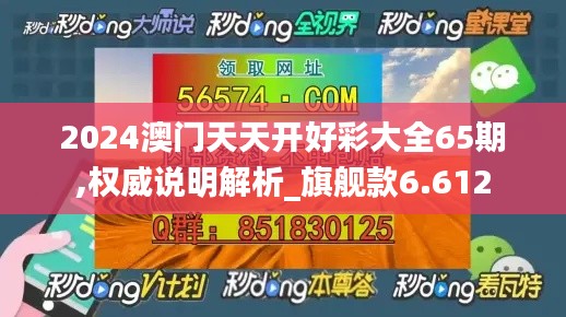 2024澳门天天开好彩大全65期,权威说明解析_旗舰款6.612