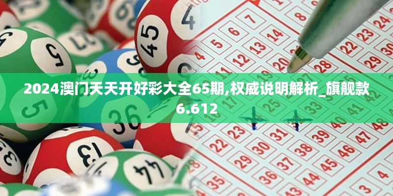 2024澳门天天开好彩大全65期,权威说明解析_旗舰款6.612