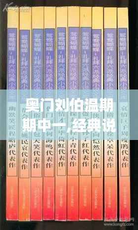 奥门刘伯温期期中一,经典说明解析_特供款3.220