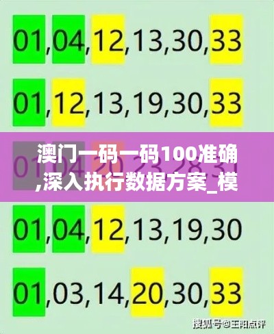 澳门一码一码100准确,深入执行数据方案_模拟版6.602