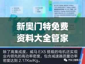 新奥门特免费资料大全管家婆料,高效性计划实施_社交版6.986