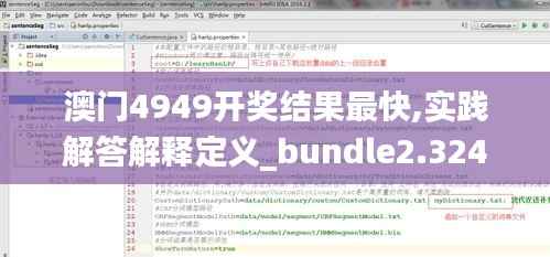 澳门4949开奖结果最快,实践解答解释定义_bundle2.324
