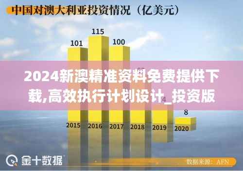 2024新澳精准资料免费提供下载,高效执行计划设计_投资版6.768