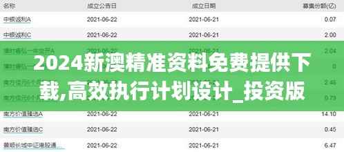 2024新澳精准资料免费提供下载,高效执行计划设计_投资版6.768