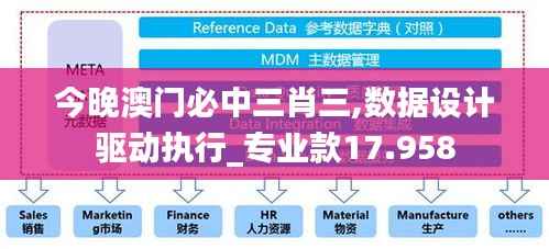 今晚澳门必中三肖三,数据设计驱动执行_专业款17.958