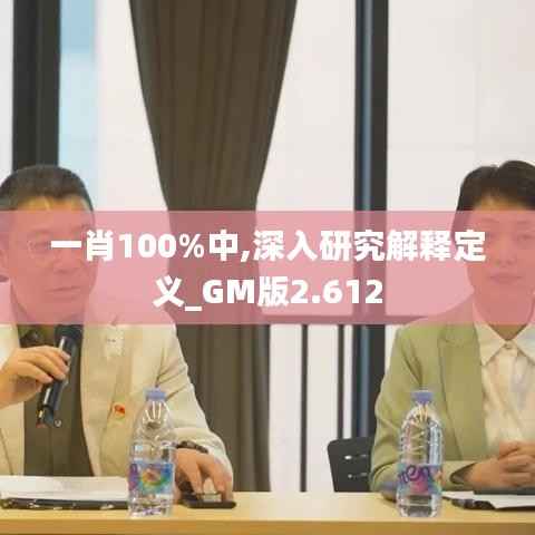 一肖100%中,深入研究解释定义_GM版2.612