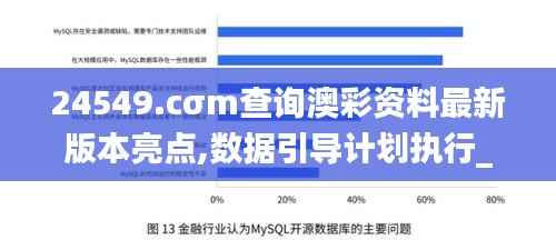 24549.cσm查询澳彩资料最新版本亮点,数据引导计划执行_专属版3.137