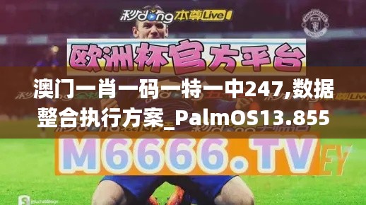 澳门一肖一码一特一中247,数据整合执行方案_PalmOS13.855