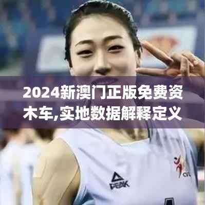 2024新澳门正版免费资木车,实地数据解释定义_视频版8.573