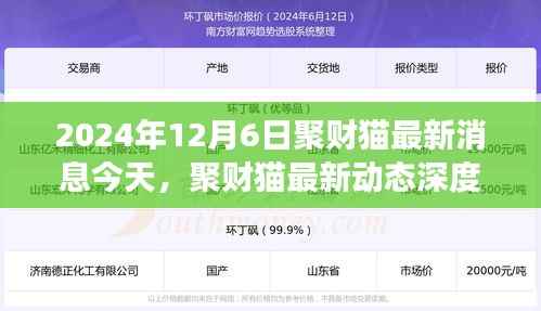 聚财猫最新动态深度评测，2024年12月6日全新解读与消息揭秘