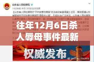 揭秘往年杀人辱母事件最新进展,科技利器助力突破性进展!