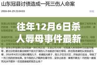 揭秘往年杀人辱母事件最新进展,科技利器助力突破性进展!