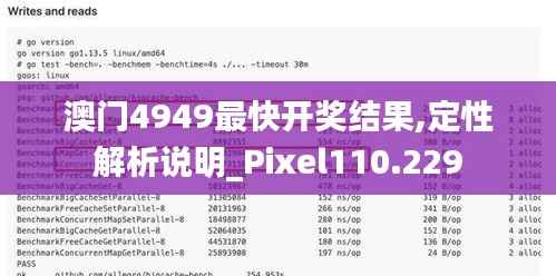 澳门4949最快开奖结果,定性解析说明_Pixel110.229