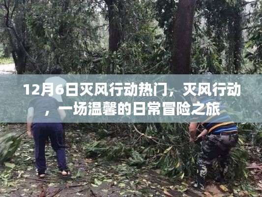 灭风行动,日常冒险之旅的温馨篇章