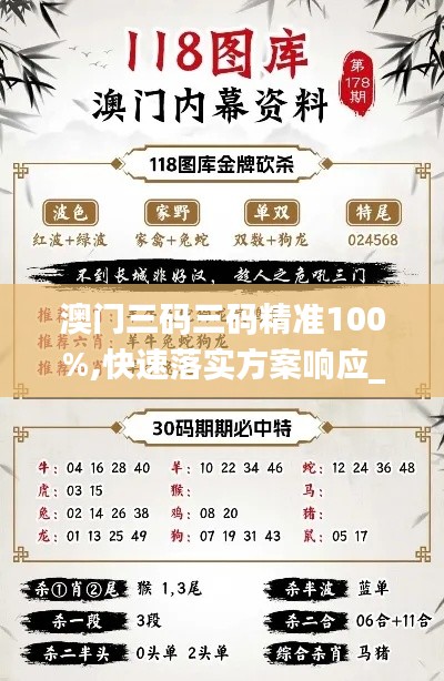 澳门三码三码精准100%,快速落实方案响应_3K1.389