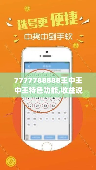 7777788888王中王中王特色功能,收益说明解析_DP4.462