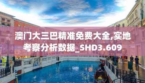 澳门大三巴精准免费大全,实地考察分析数据_SHD3.609