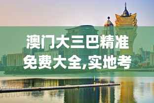 澳门大三巴精准免费大全,实地考察分析数据_SHD3.609