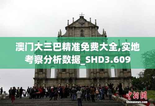 澳门大三巴精准免费大全,实地考察分析数据_SHD3.609