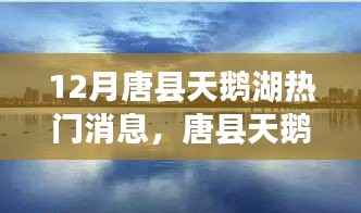 唐县天鹅湖十二月惊艳亮相,热门资讯抢先看!