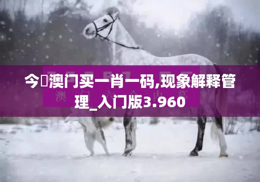 今夬澳门买一肖一码,现象解释管理_入门版3.960