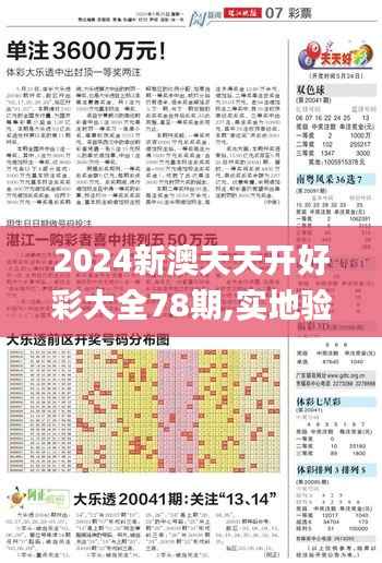 2024新澳天天开好彩大全78期,实地验证数据分析_豪华款6.607