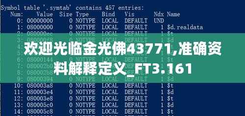 欢迎光临金光佛43771,准确资料解释定义_FT3.161