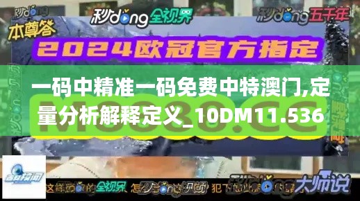 一码中精准一码免费中特澳门,定量分析解释定义_10DM11.536