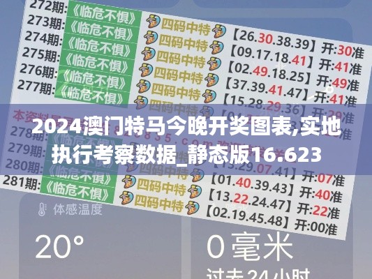2024澳门特马今晚开奖图表,实地执行考察数据_静态版16.623
