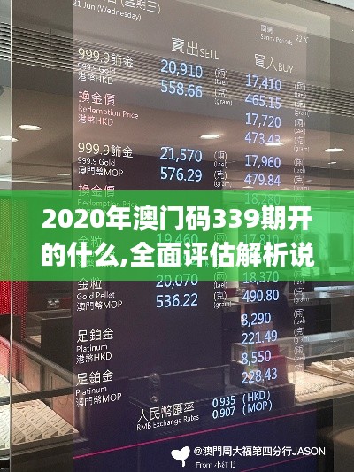2020年澳门码339期开的什么,全面评估解析说明_黄金版9.164