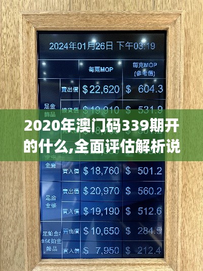 2020年澳门码339期开的什么,全面评估解析说明_黄金版9.164