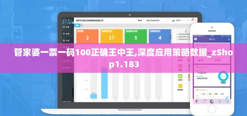 管家婆一票一码100正确王中王,深度应用策略数据_zShop1.183
