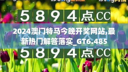 2024澳门特马今晚开奖网站,最新热门解答落实_GT6.485
